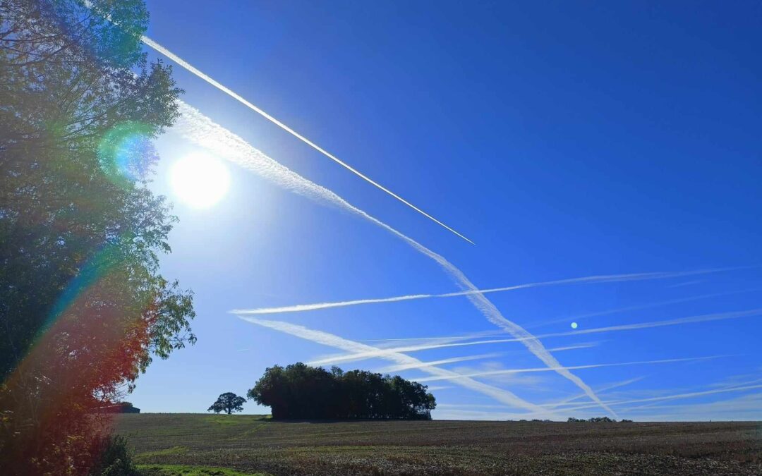 Noughts & crosses