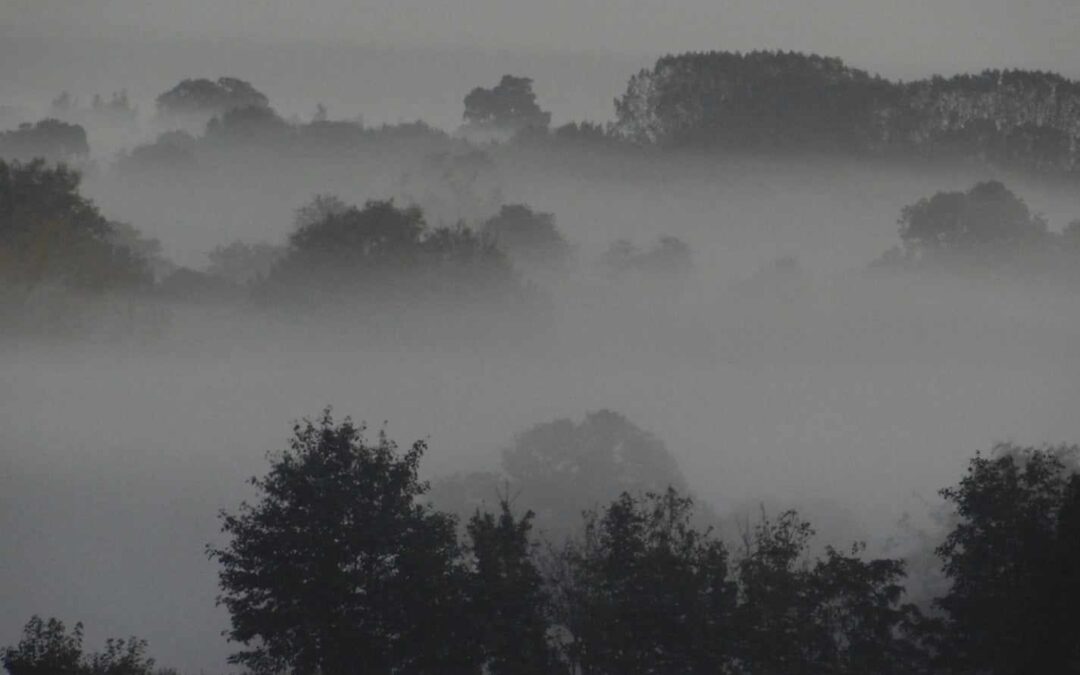 The season of mists…