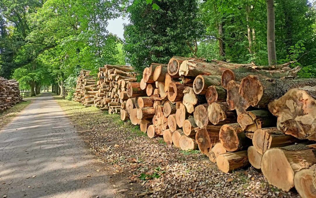 Timber!